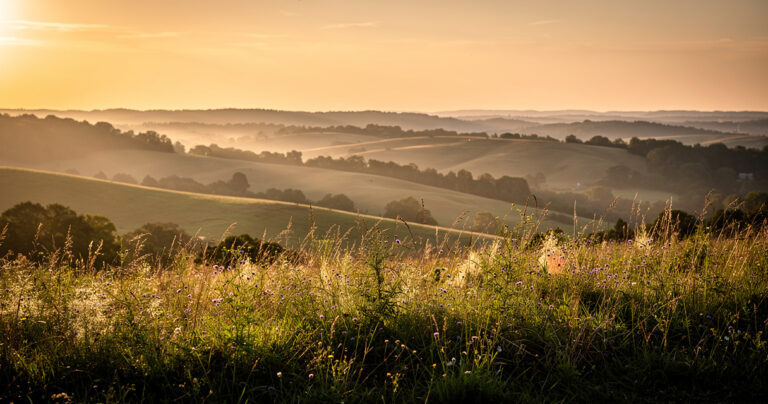 Meadow overlook with distant ridgelines at golden hour
