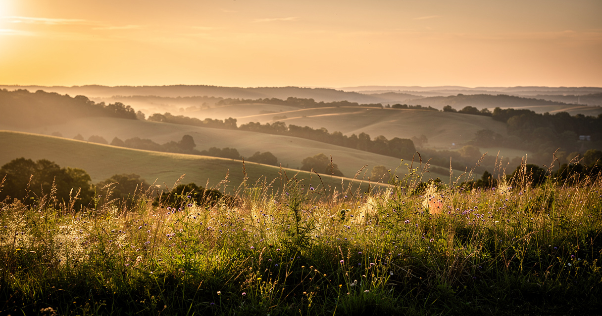 Meadow overlook with distant ridgelines at golden hour